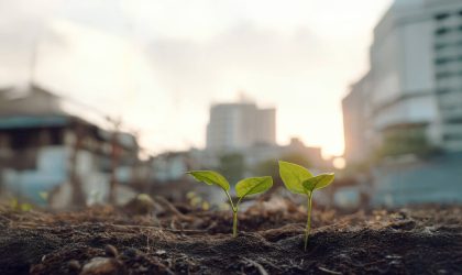 Vecteezy_UrbanSoil03 (1)